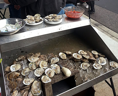 Baltimore Oyster Shucking